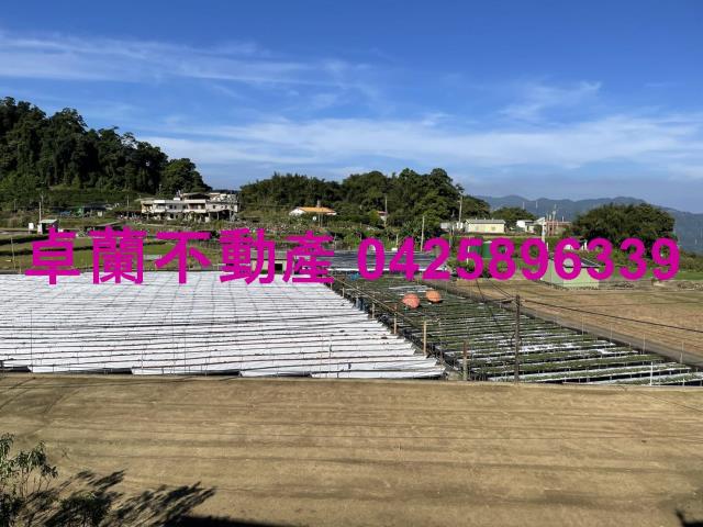 大湖農地-10