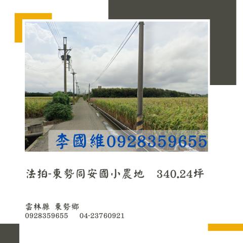 東勢鄉農地拍賣-1