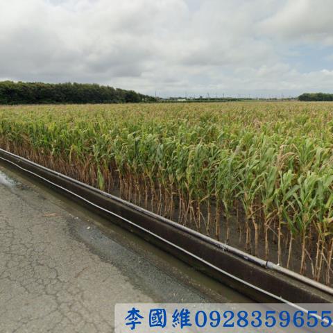 東勢鄉農地拍賣-2