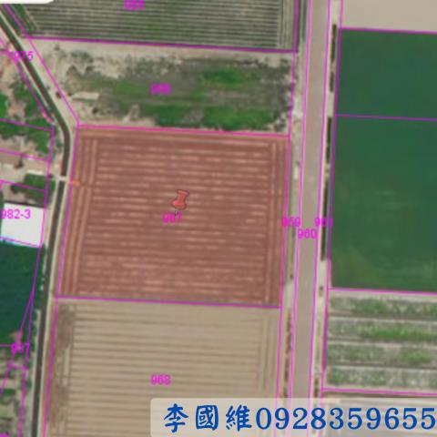 雲林農地法拍-3