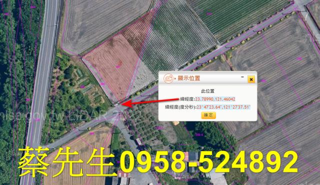 花蓮農地法拍-11