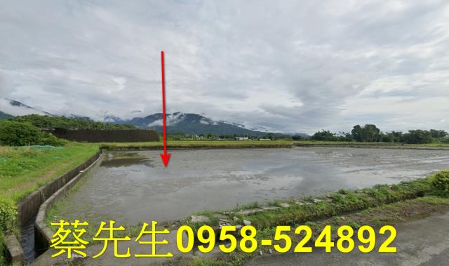 花蓮農地法拍-1