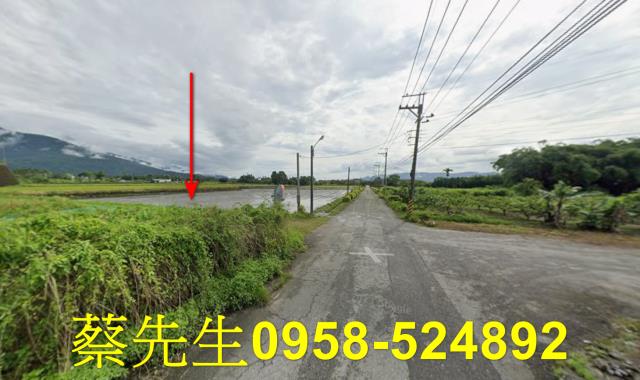 花蓮農地法拍-5