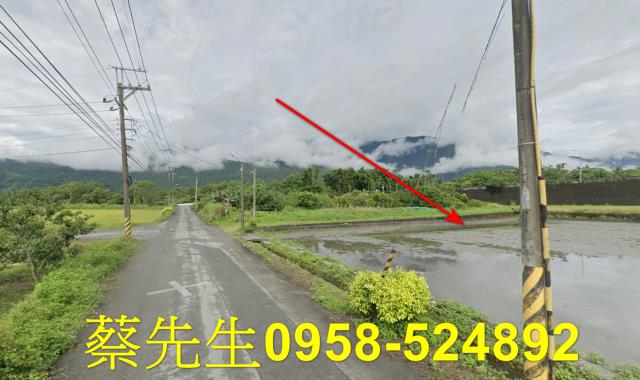 花蓮農地法拍-6