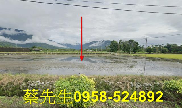 花蓮農地法拍-1