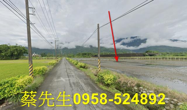 花蓮農地法拍-4