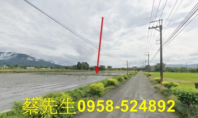 花蓮農地法拍-5