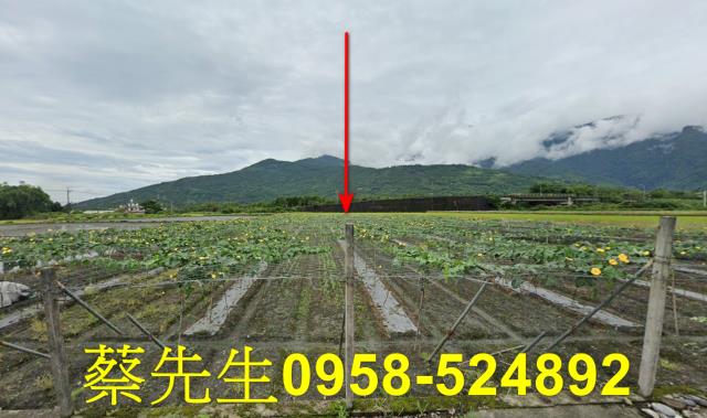 花蓮農地法拍-1