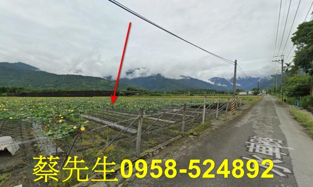 花蓮農地法拍-4