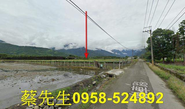 花蓮農地法拍-5