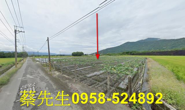 花蓮農地法拍-6
