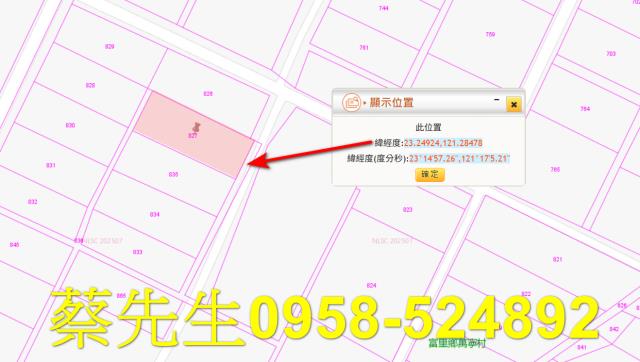 花蓮富里法拍農地-10