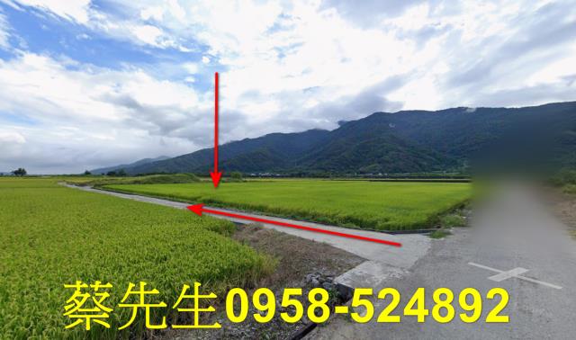 花蓮富里法拍農地-12