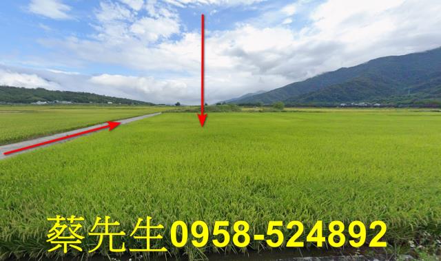 花蓮富里法拍農地-14