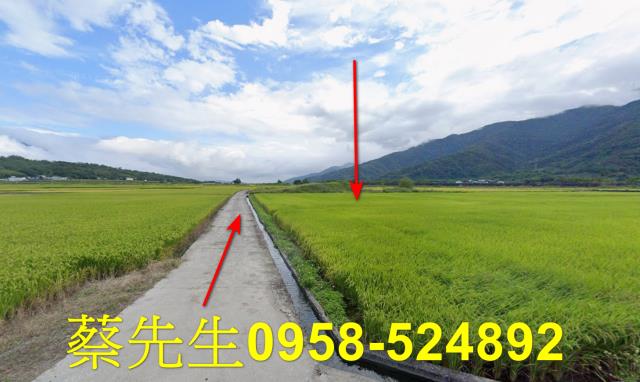 花蓮富里法拍農地-9