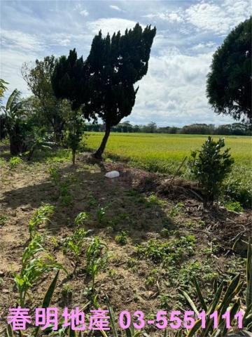 新竹竹北農地-3