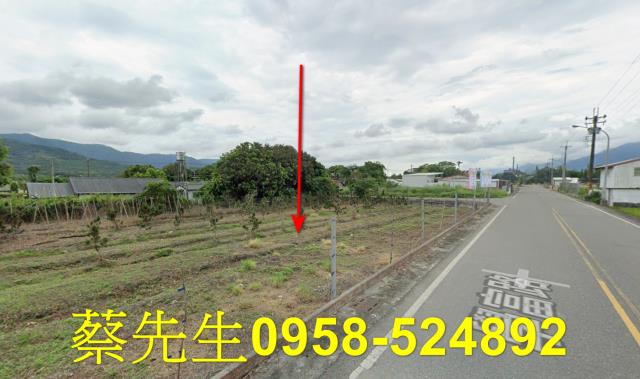 花蓮富里農地拍賣-14