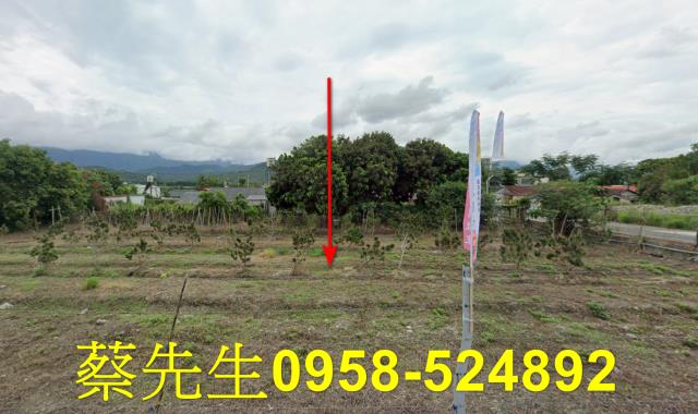 花蓮富里農地拍賣-5