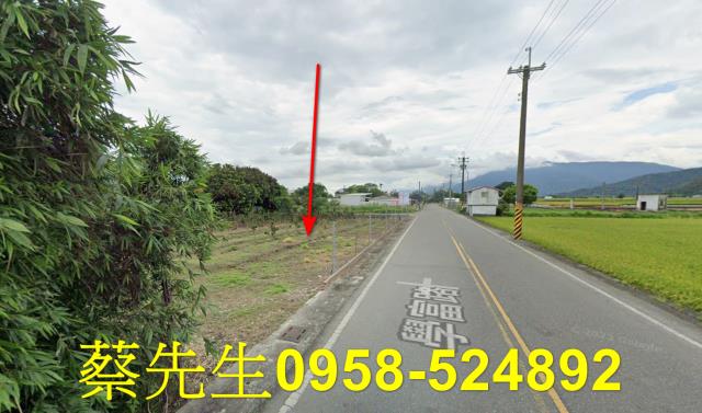 花蓮富里農地拍賣-7