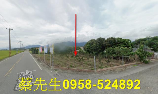 花蓮富里農地拍賣-9