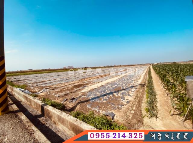 嘉義六腳農地-3