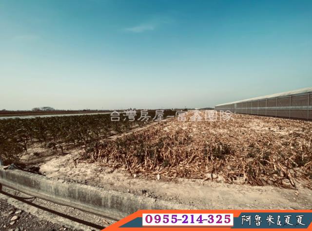 嘉義六腳農地-6