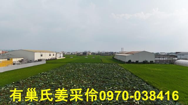 民雄農地-11