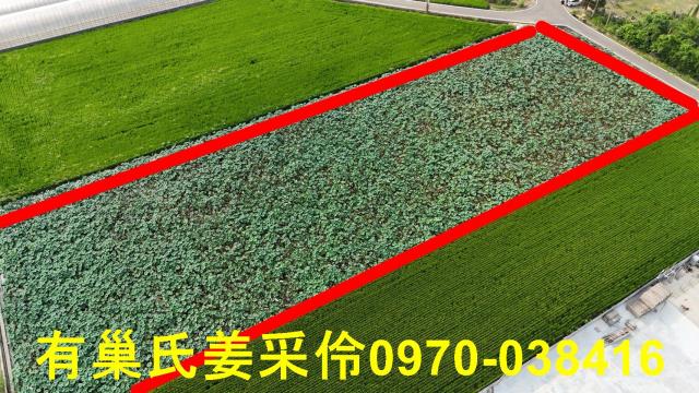 民雄農地-1
