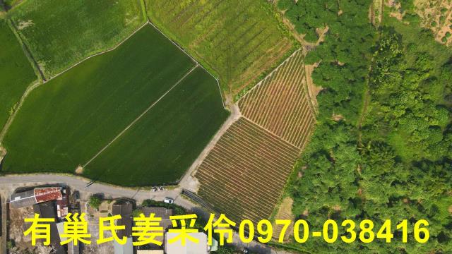 民雄農地-6