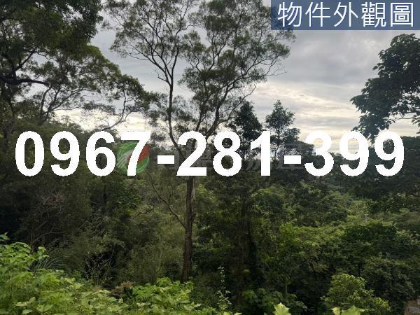 苗栗造橋農地-2