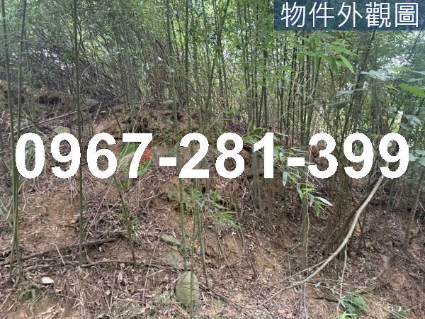 苗栗造橋農地-3