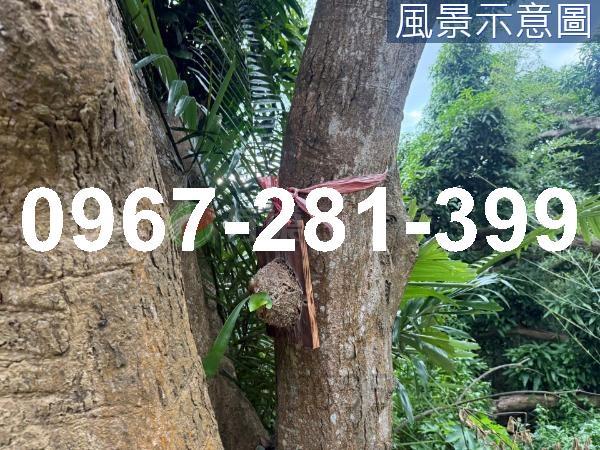 苗栗造橋農地-4