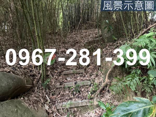 苗栗造橋農地-5