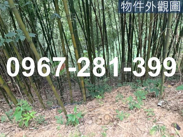 苗栗造橋農地-6