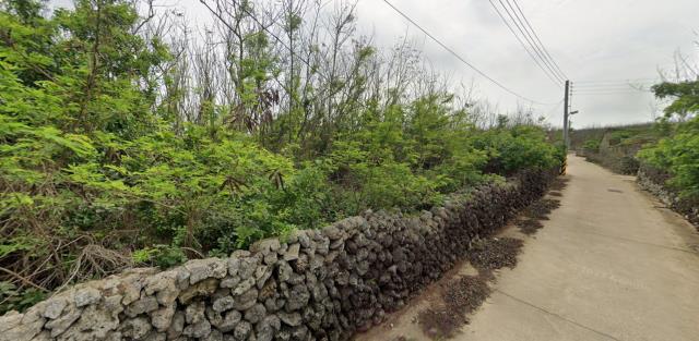 澎湖白沙農地法拍-13