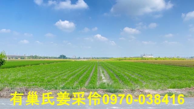 嘉義鹿草農地-11