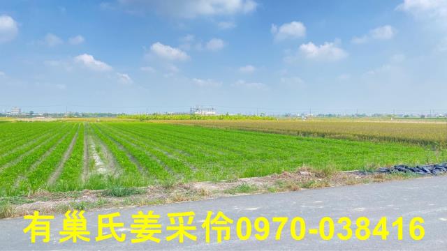 嘉義鹿草農地-12