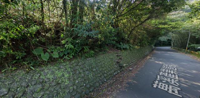 士林拍賣種菜地-13