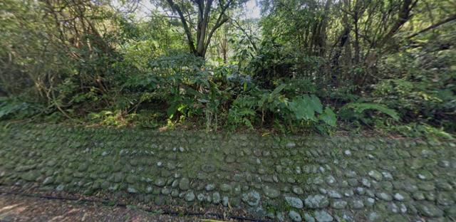 士林拍賣種菜地-1