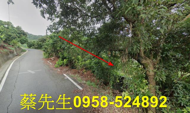 霧峰法拍農地-12