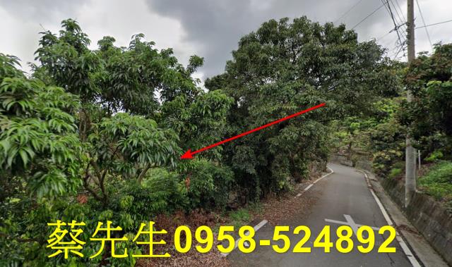 霧峰法拍農地-6