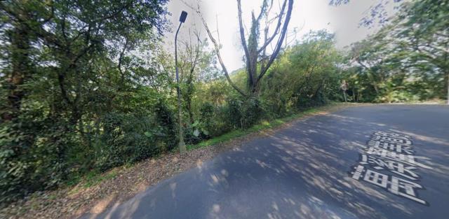 台北種菜地法拍-13