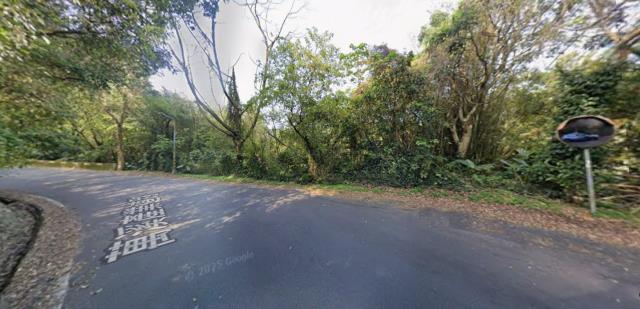 台北種菜地法拍-4