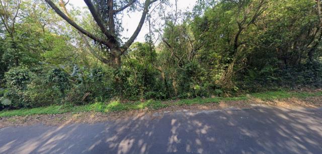 台北種菜地法拍-9