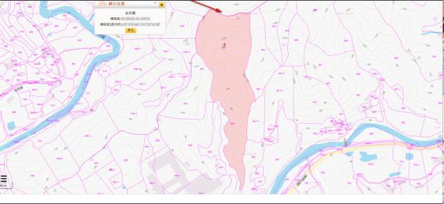 新北法拍農地-3