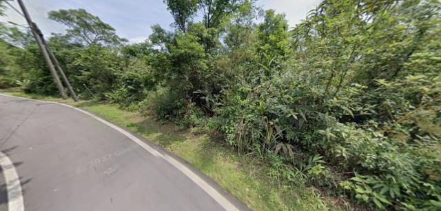 新北法拍農地-4