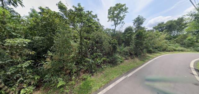 新北法拍農地-5