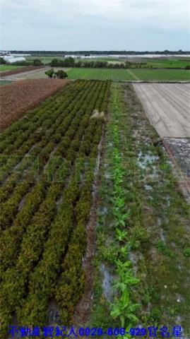 嘉義太保建地-8