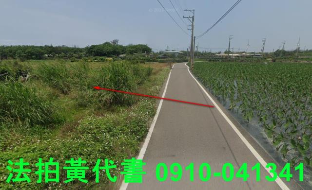大安區法拍農地-12