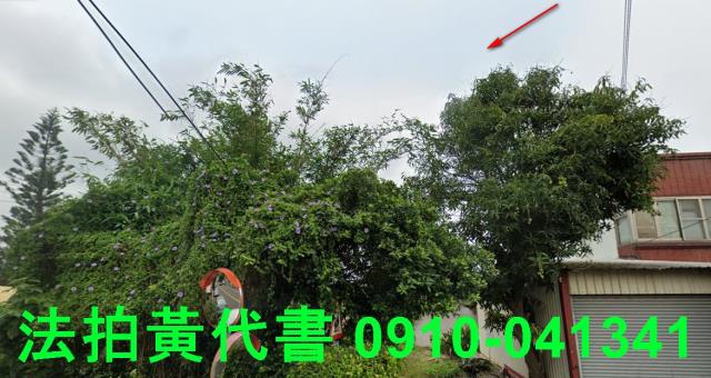 外埔農地法拍-3